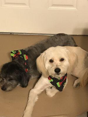 Community Physical Therapy