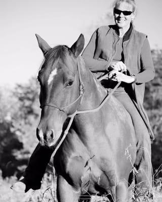 Wall Flowers Photography