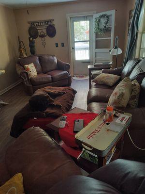 Andrews Veterinary Hospital