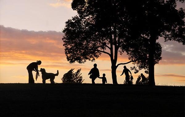 Donald Weiss Insurance Services