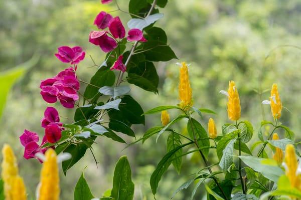 Darcie Crenshaw Photography Tours