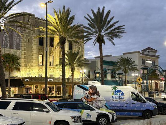 Ready for the Halifax pet parade