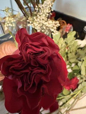 Keller & Stein Florist