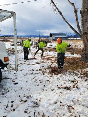 Tree Frog Tree Service