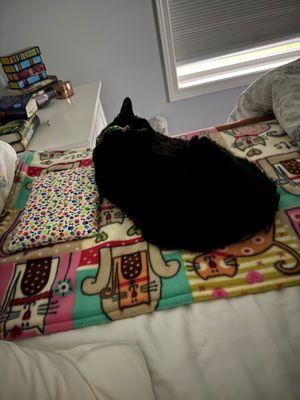 Emmy sleep comfortably and health on her blanket and pillow!