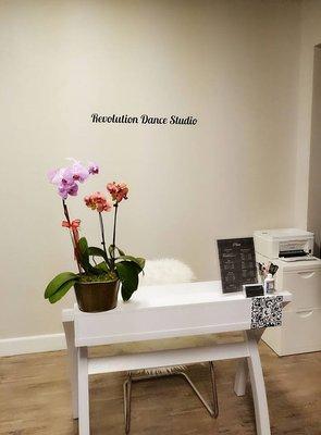 Revolution Dance Studio