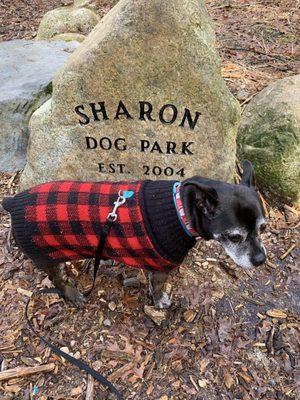 Sharon Dog Park