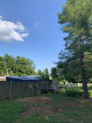 Higher Calling Tree Services