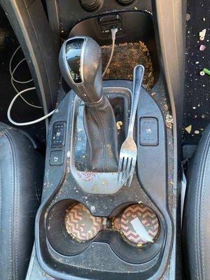 ALPHA Auto Detailing