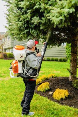 Knockout Mosquito and Tick Control