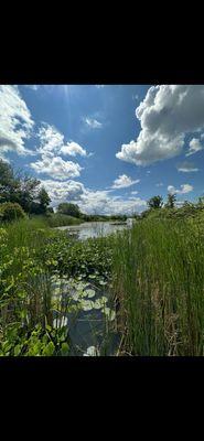Points of Harmony Acupuncture