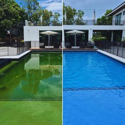 Before and After Green Pool Cleaning