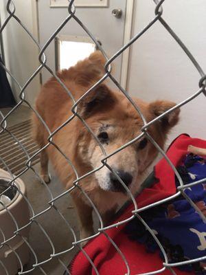 Forever Loved Pet Sanctuary