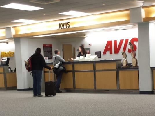 Avis Car Rental