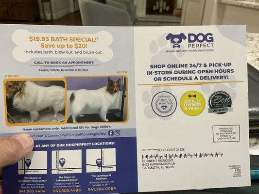 DOGPerfect - The Landings of Sarasota