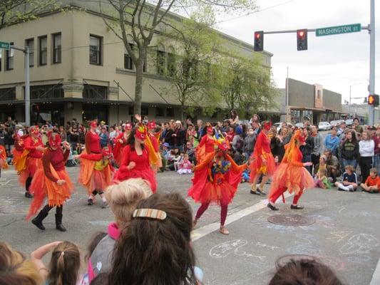 Procession Of The Species