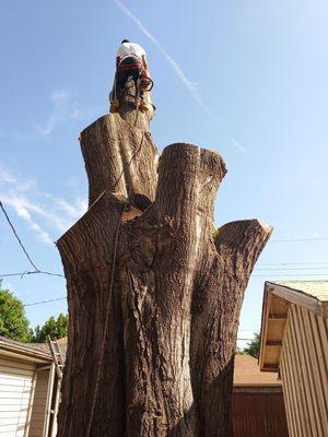 Gds & g Lawn and Tree Services