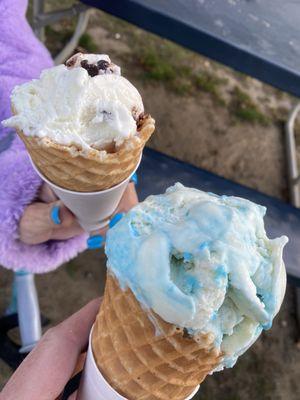 Moose Scoops Ice Cream