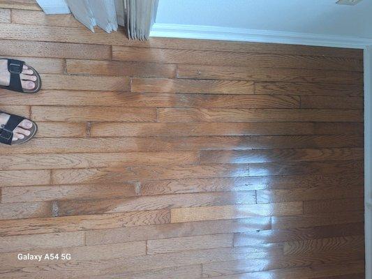 Real Wise Property Management