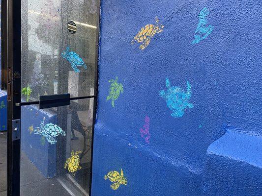 Sea turtles greet us this rainy day.