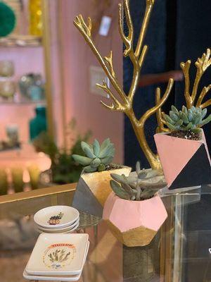 Love these little planters!