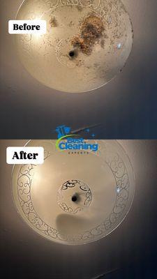 Best Cleaning Experts