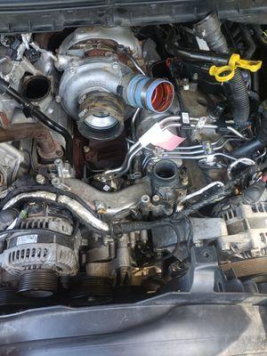 LF Repair & Detailing