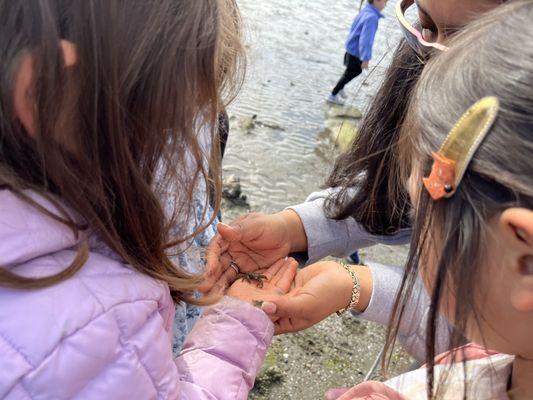 Our students holding a little crab during camp.