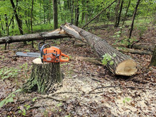 J & S Tree Solutions