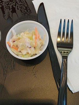 World's tiniest coleslaw - plastic fork for scale