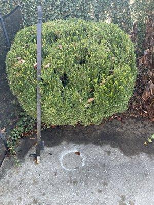 Thompsons Landscaping