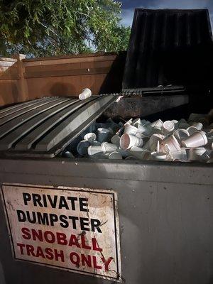 Sal's Sno-Ball Stand