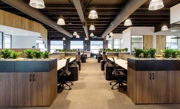 Florida Magical Cleaning