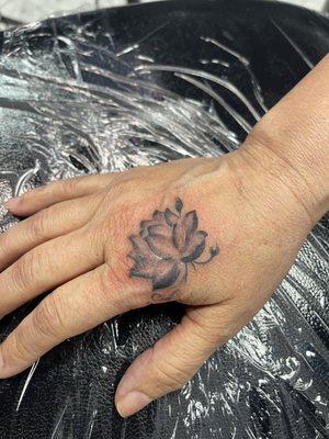 Lotus cover up