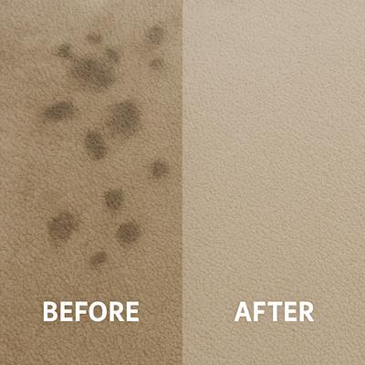 Best Carpet Cleaning Service