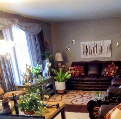 Terry Residential Services
