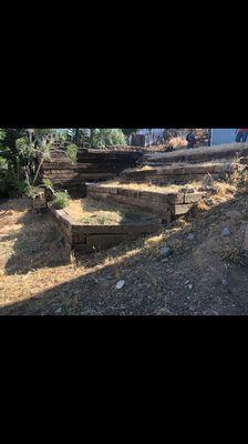 Premier Tree & Landscape