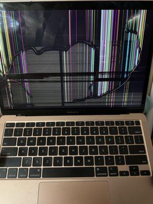 Mac Repair - Well Connected Life