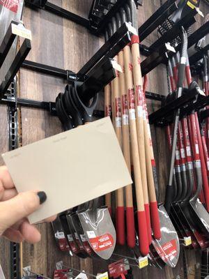 This is our paint color