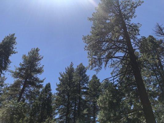 Calvary Chapel Bible Fellowship