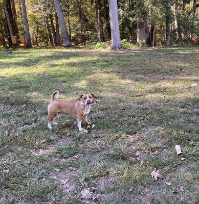 Making a Difference Rescue