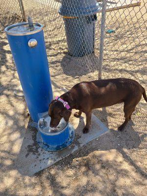 Northwest Community Park