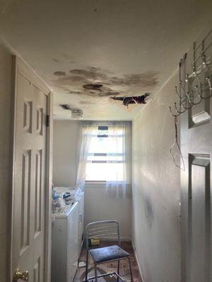 Mollenhauer Developers