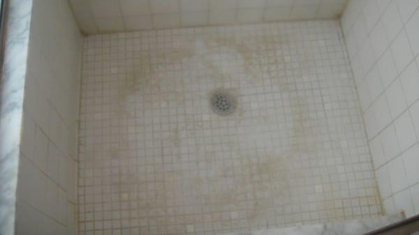 Nelson Restoration Services