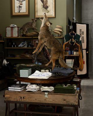 Unlikely Professionals