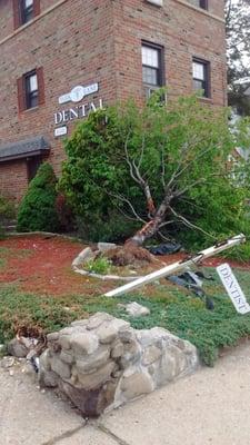 Hope the driver was caught, the folks at Park Lane Dental are a fabulous bunch.