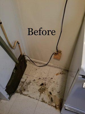 Clean planet pro-wash