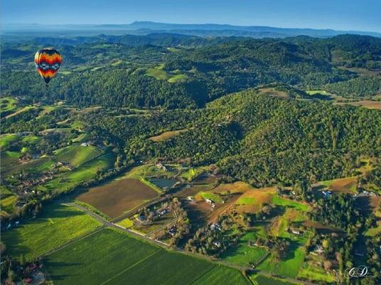 Cruise Planners / American Express Travel