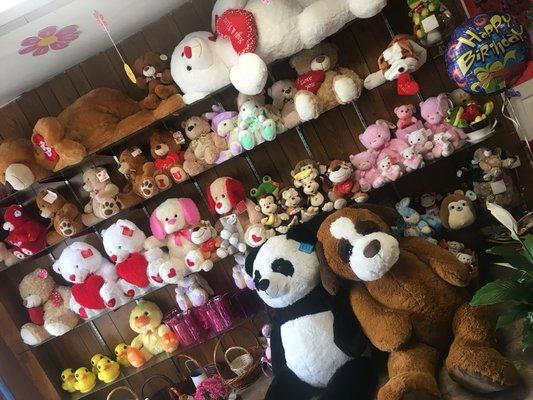 We have a big variety of teddy bears !!!