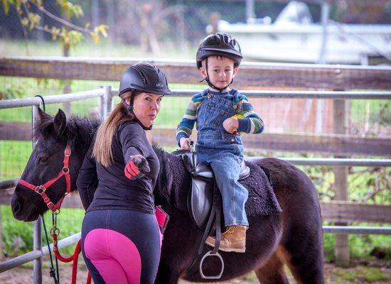 Healing Hands Horsemanship